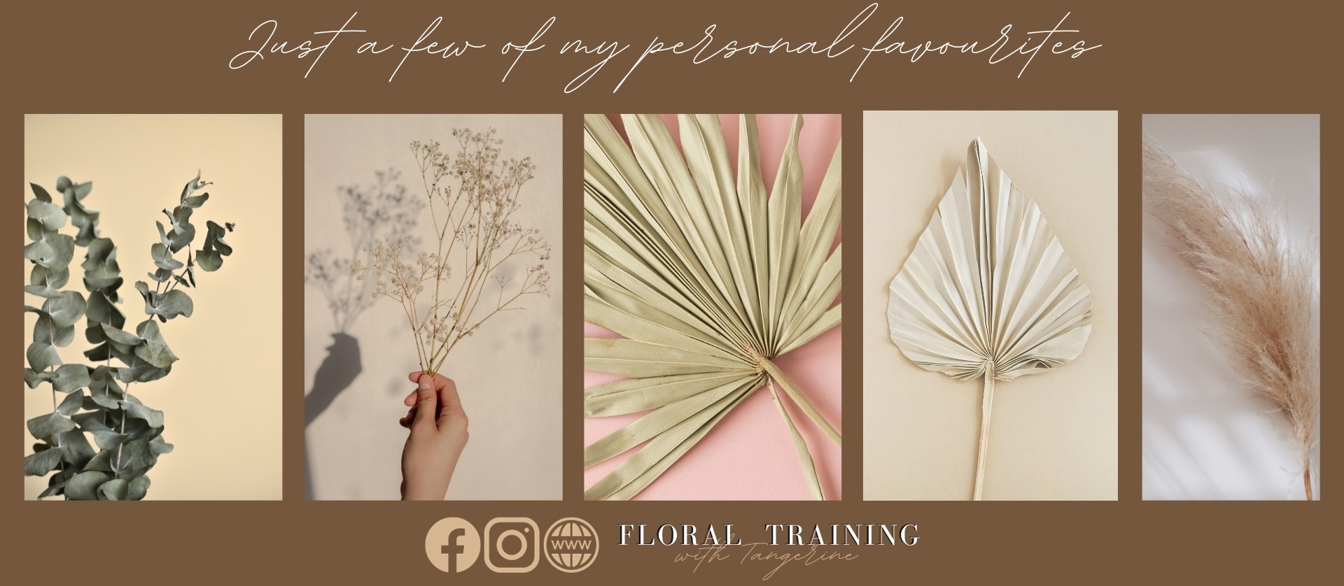 flower drying and colouring workshop