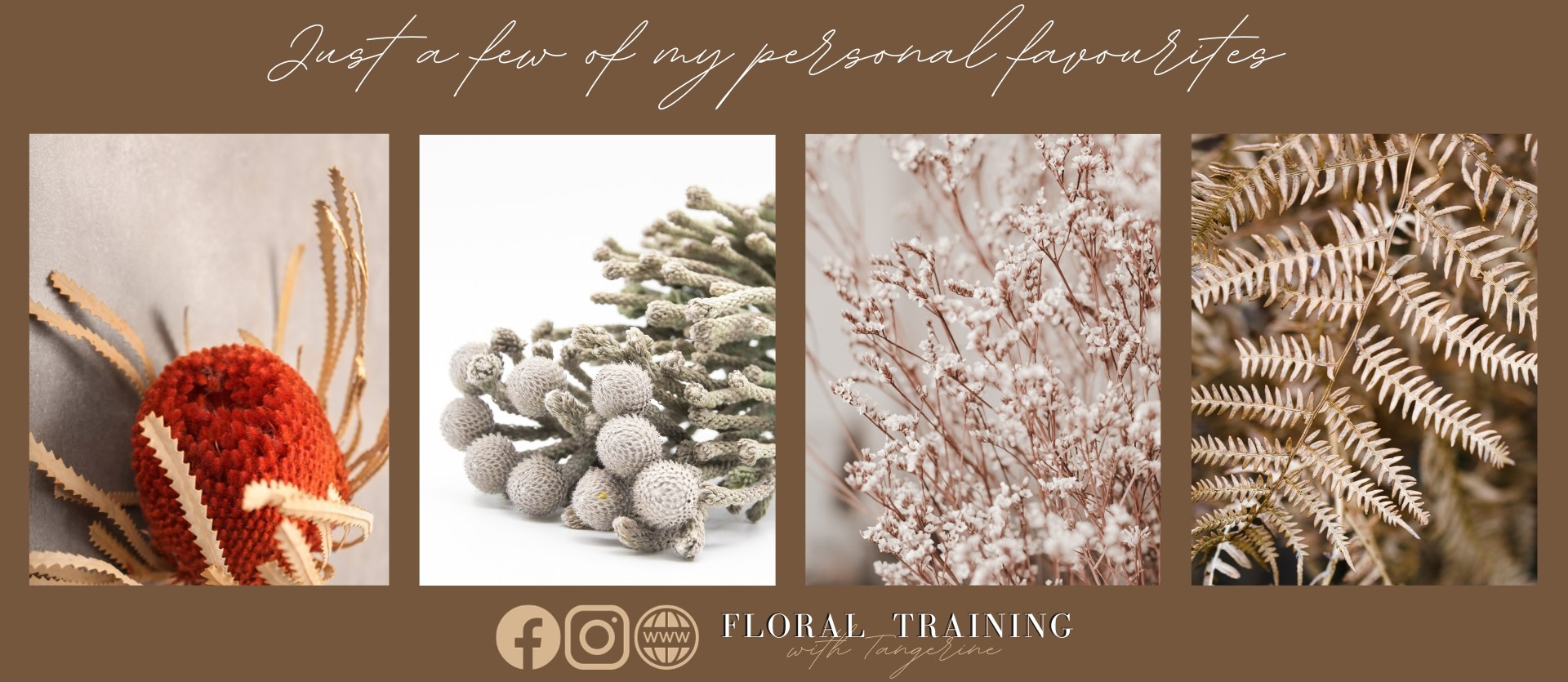 flower drying and colouring workshop